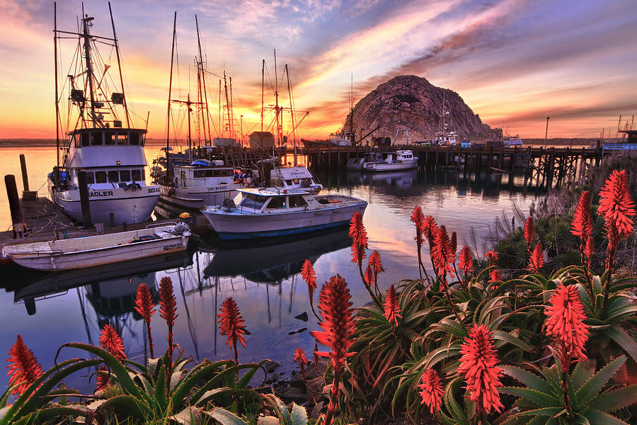 Beautiful Morro Bay Photograph by Beth Sargent