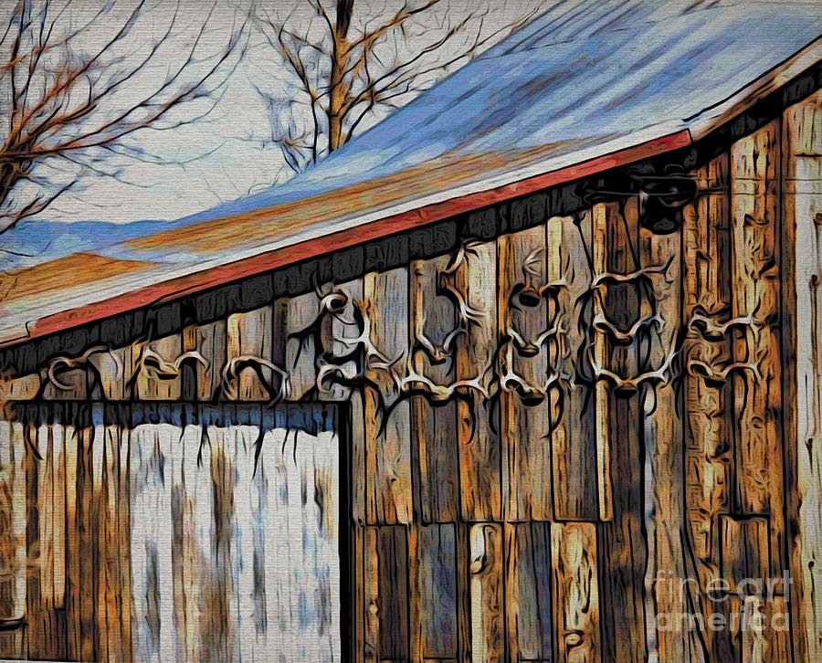 Tree Photograph - Beautiful Old Barn with Horns by Phyllis Kaltenbach