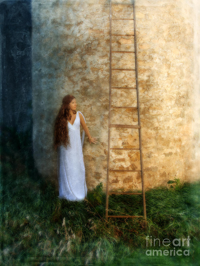 Beautiful Princess Castle Wall and Ladder Photograph by Jill Battaglia