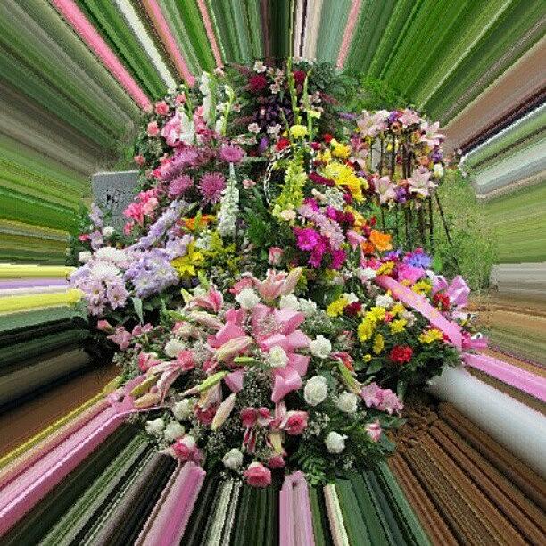Flower Photograph - Beautiful Send-off by Jedi Fuser