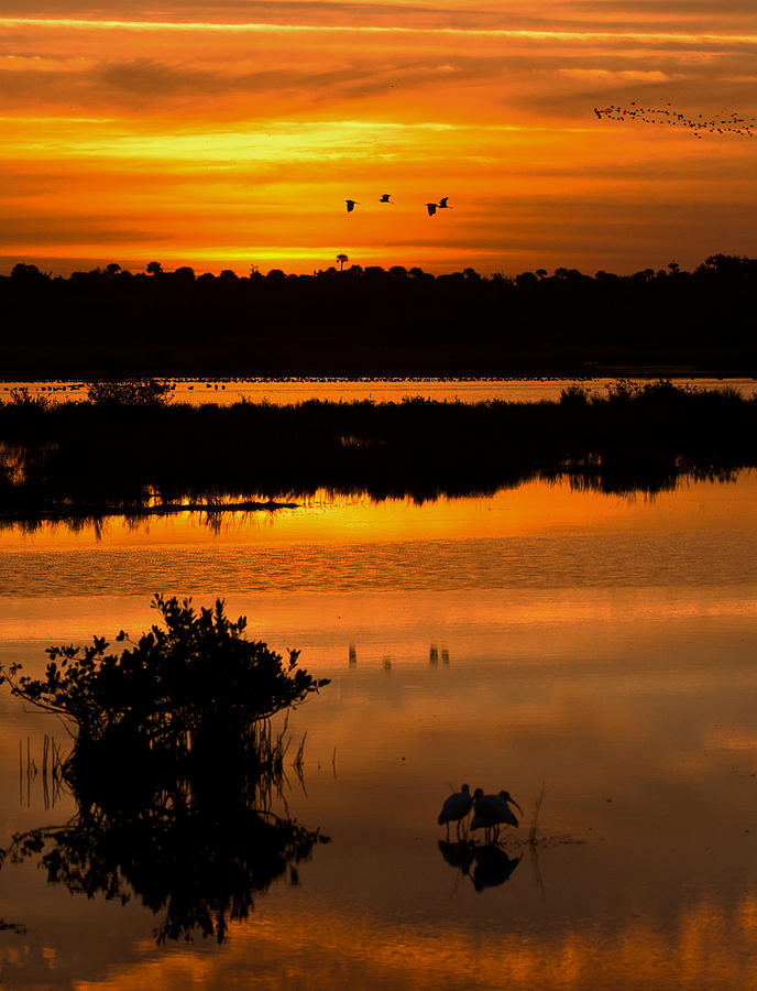Beautiful Sunrise Photograph by Dorothy Cunningham