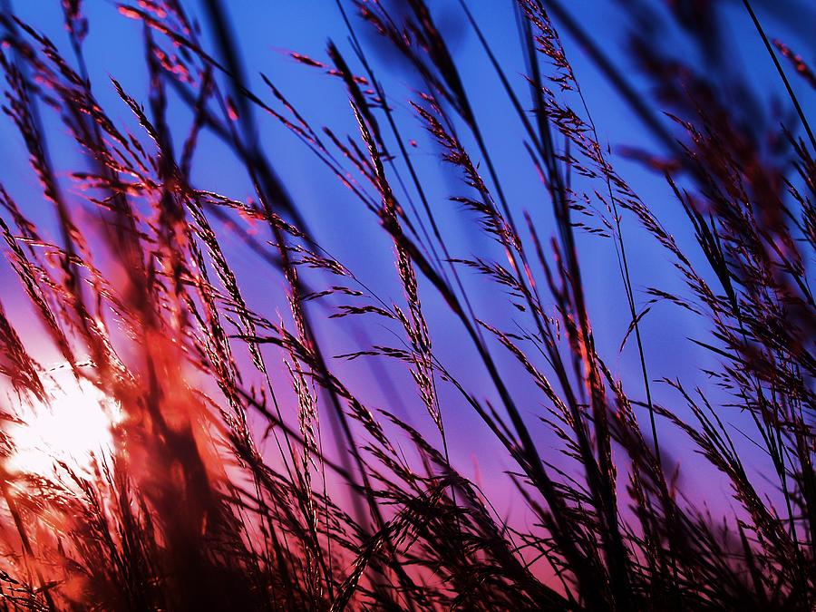 Sunset Photograph - Beautiful Sunset by Alisha Luby