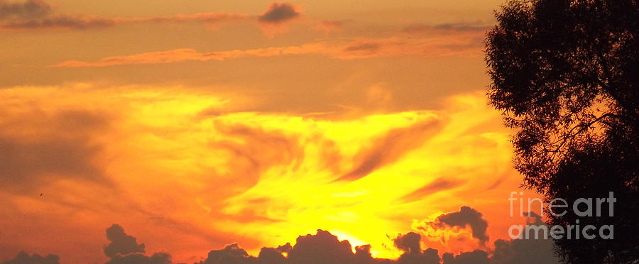 Sunset Photograph - Beautiful Sunset Panorama by Ausra Huntington nee Paulauskaite