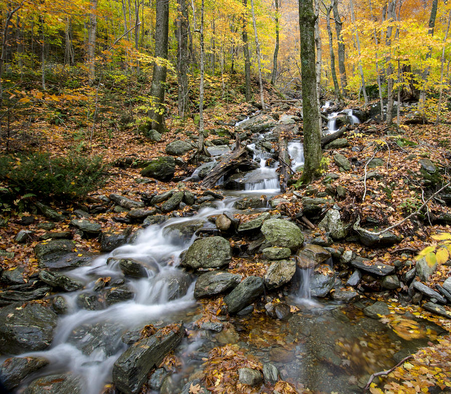 Beautiful Vermont Scenery 16 Photograph by Paul Cannon | Fine Art America