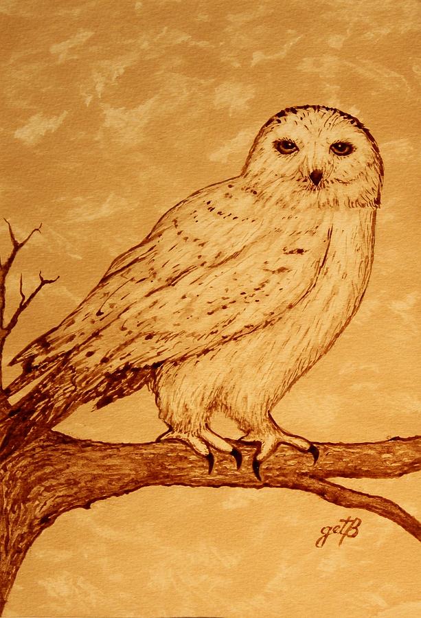 Beautiful White Owl coffee painting Painting by Georgeta  Blanaru