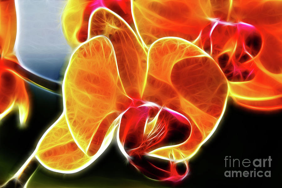 Beautiful Yellow Orchid Digital Art