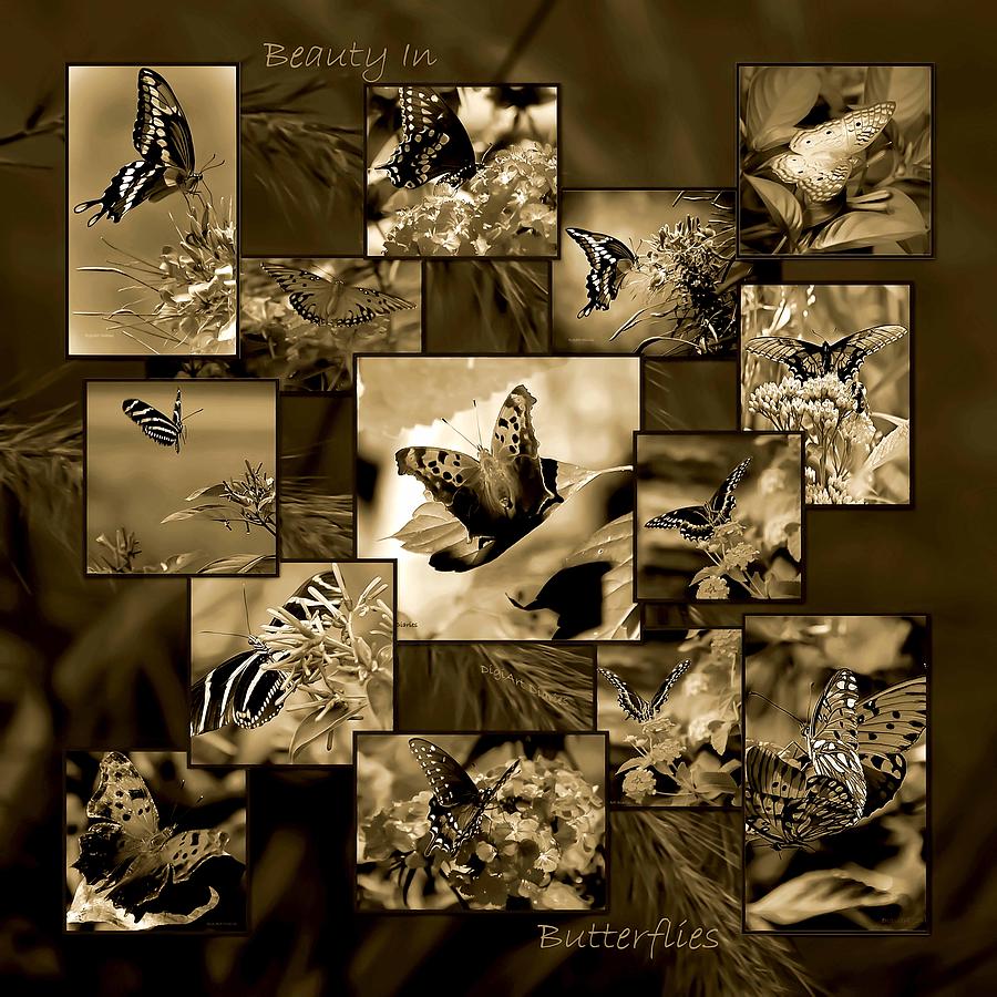 Beauty in Butterflies II Photograph by DigiArt Diaries by Vicky B Fuller