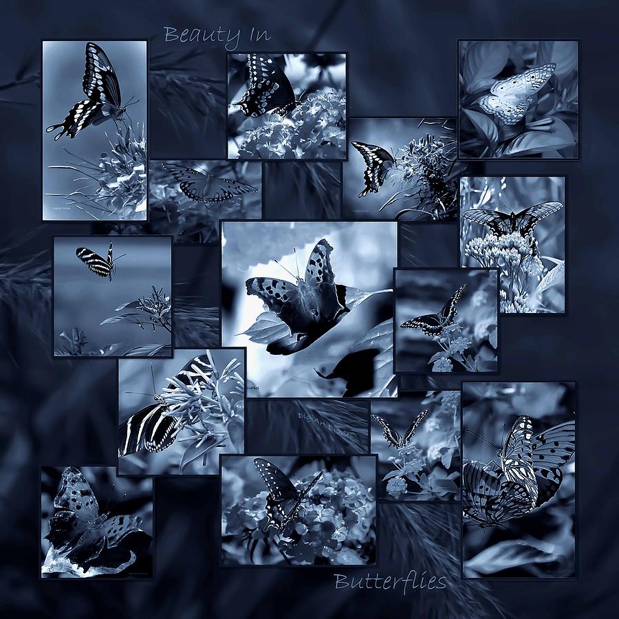 Beauty in Butterflies VIII Photograph by DigiArt Diaries by Vicky B Fuller