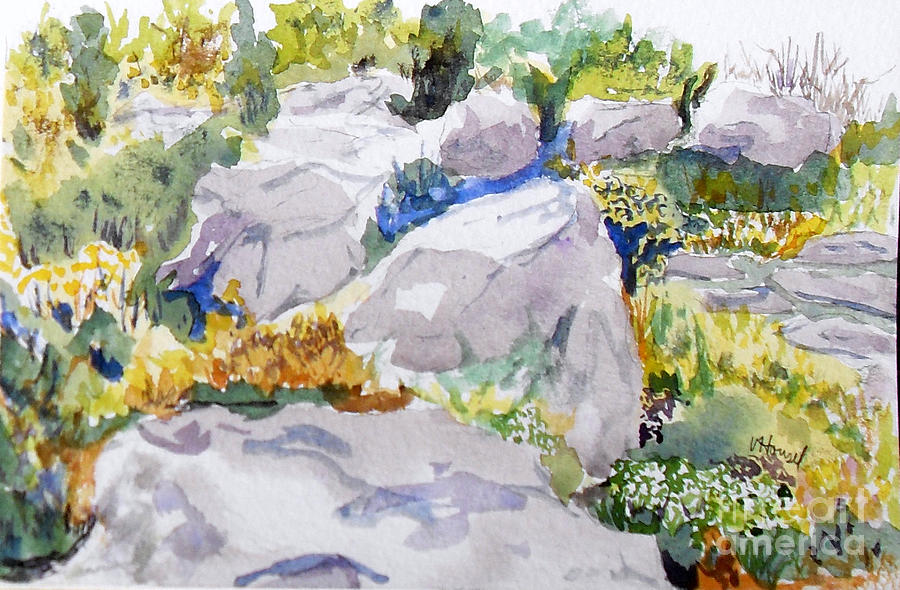 Beauty In The Rocks Painting by Vicki  Housel