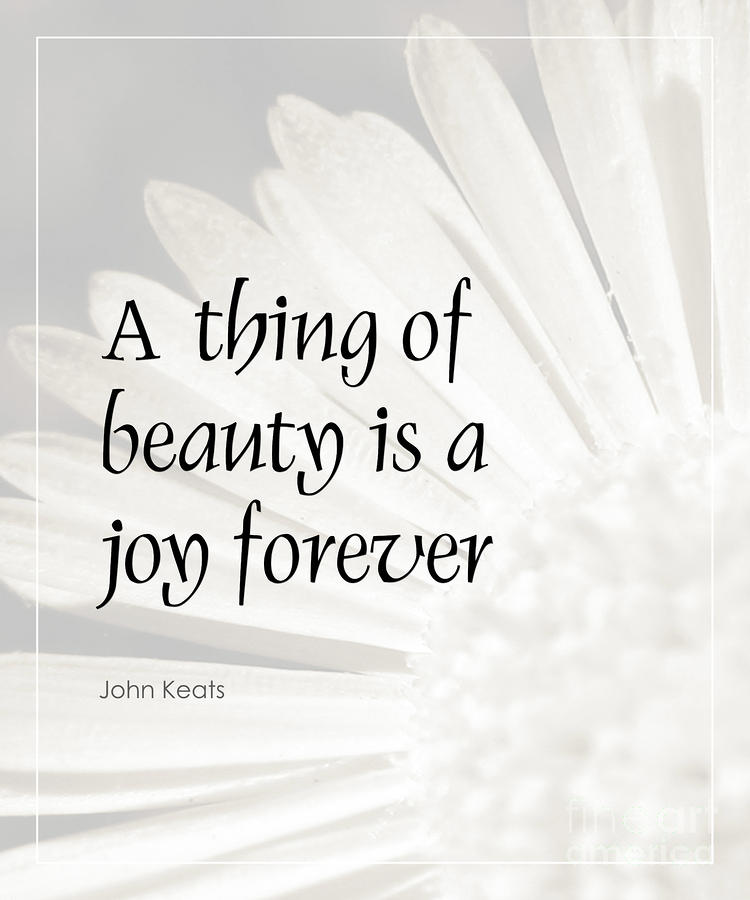 A Thing of Beauty Quote Photograph by Kate McKenna