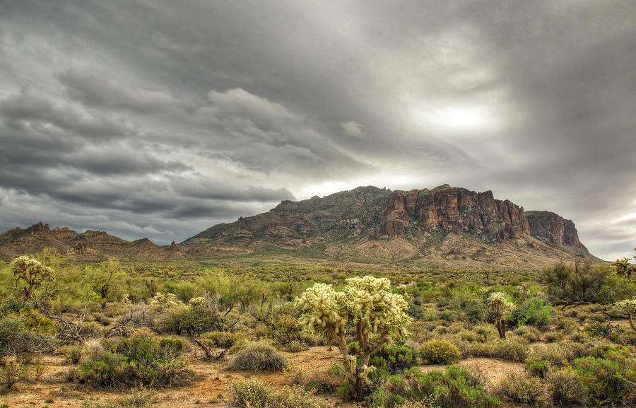 Beauty of the Desert Photograph by Saija Lehtonen - Fine Art America