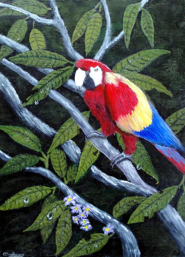 Beauty Of The Rainforest Painting by Larry Cirigliano