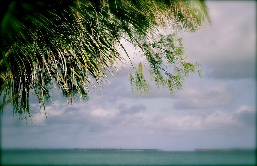 Beauty of Zanzibar Photograph by Joe  Burns