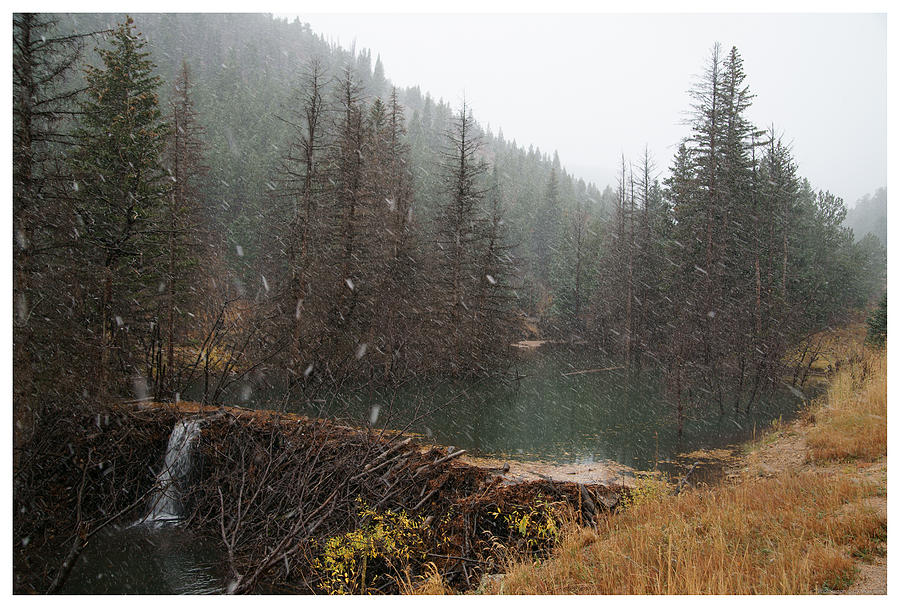 Beaver Dam - First Snow Photograph by Mark Ivins