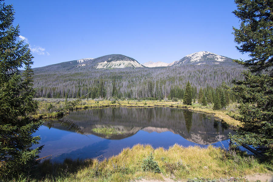 Rocky Mountain National Park Photograph - Beaver Pond at Rocky Mountain National Park by Ellie Teramoto