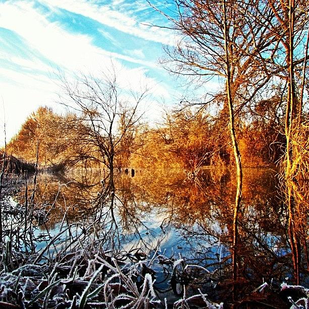 Austin Photograph - Beaver Pond Reflections - A Second Look by Roger Snook