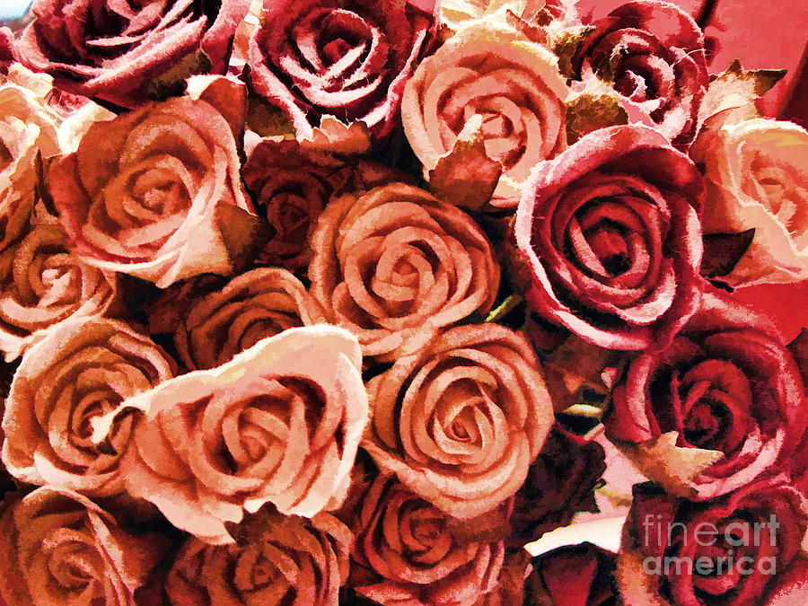 Bed of Roses Photograph by Traci Cottingham