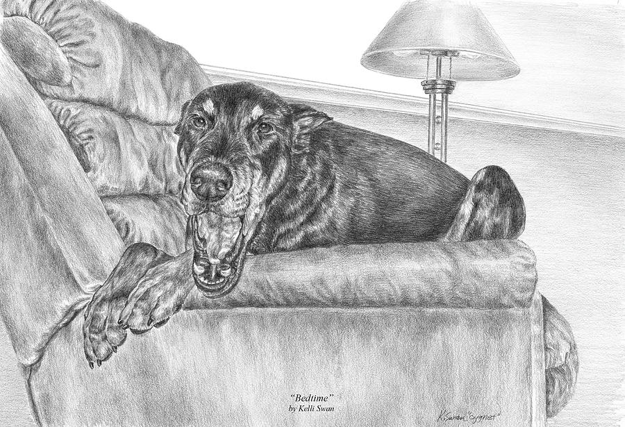 Swan Drawing - Bedtime - Doberman Pinscher Dog Art Print by Kelli Swan