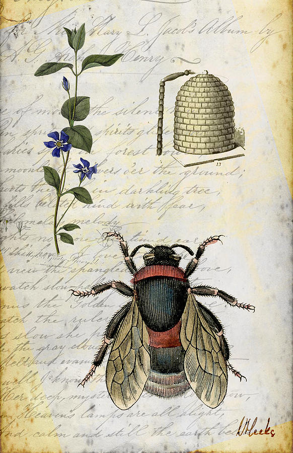 Vintage Digital Art - Bee Flower Hive  by Nada Meeks