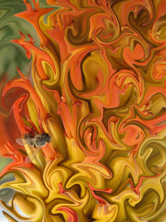 Bee on aloe Flower Photograph by Vijay Sharon Govender