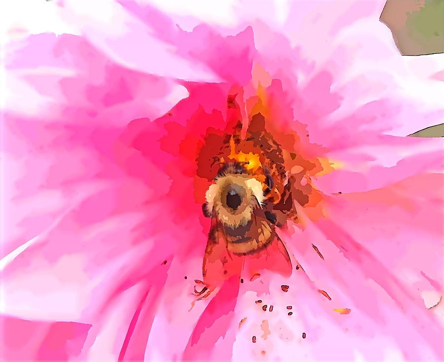 Bee Pollinated  Photograph by Kim Galluzzo