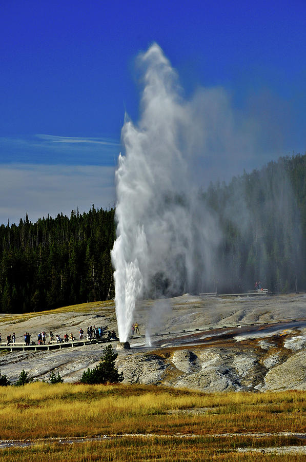 Beehive Geyser Photograph by Greg Norrell
