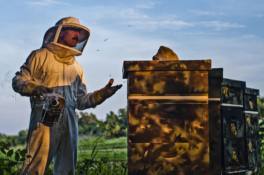 Nature Photograph - Beekeeper by James Bull