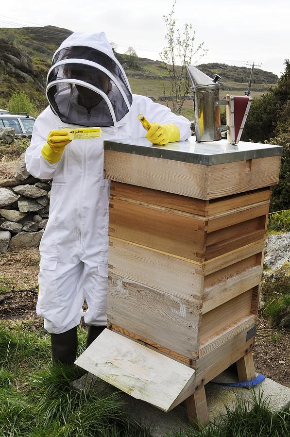 Clothing Photograph - Beekeeper With Epipen by Cordelia Molloy