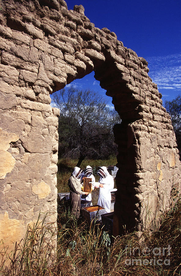 Beekeepers In Mexico Photograph by Science Source