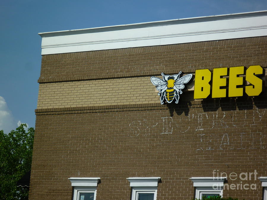 BEES on Building Photograph by Renee Trenholm