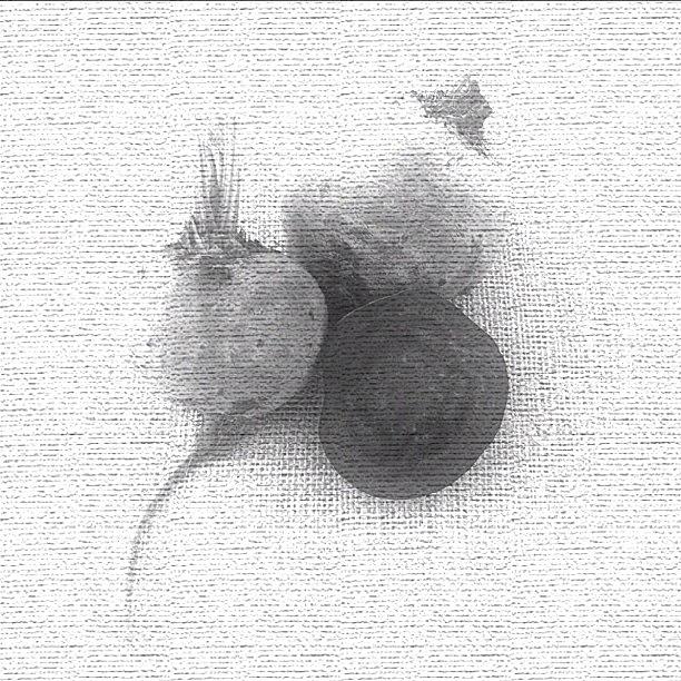 Beets Photograph - Beets Still Life by Lynne Daley