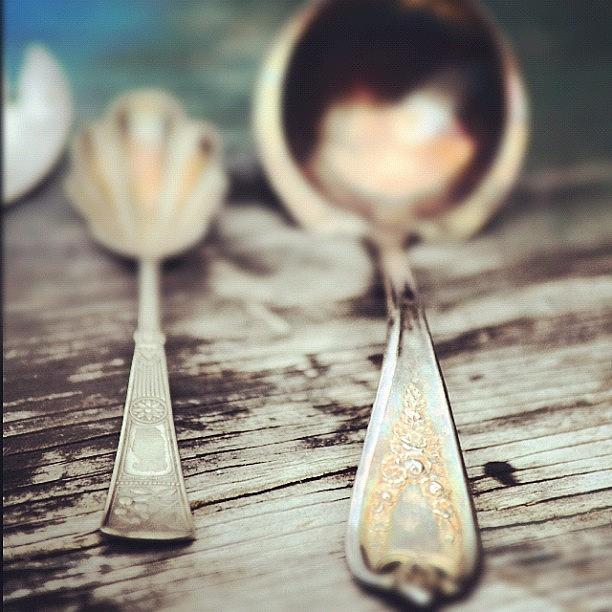 Before: Old Spoons Repurposed Into Photograph by Diana Daley
