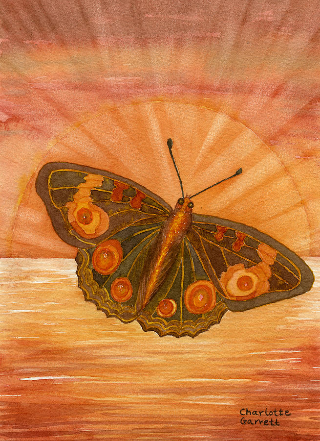 Beginnings Butterfly by Charlotte Garrett Beginnings Butterfly by Charlotte Garrett