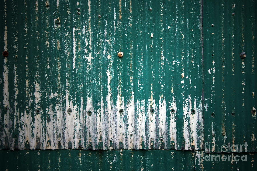 Green Photograph - Behind the Green Shed by Stephen Mitchell Green Photograph - Behind the Green Shed by Stephen Mitchell