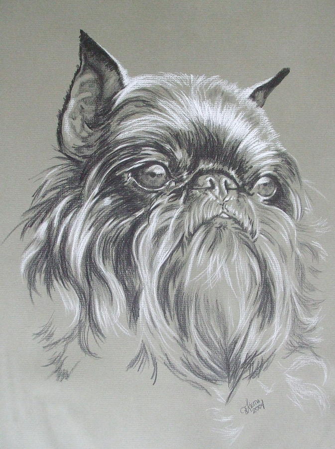 Belgian Griffon by Barbara Keith