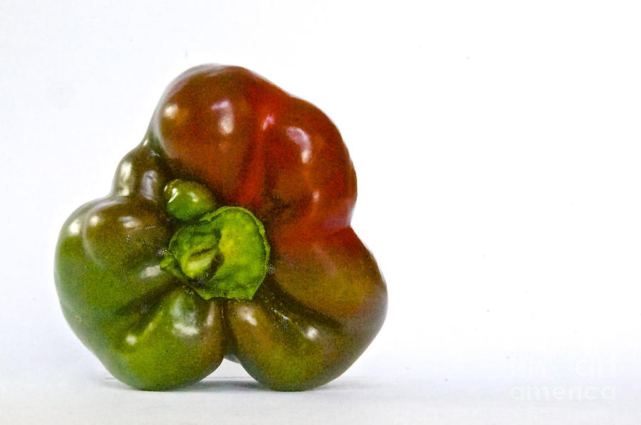 Bell Pepper Photograph by Sean Griffin