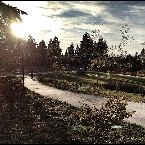 Bellevue College | Fall Sunset | Photograph by Reza Malayeri