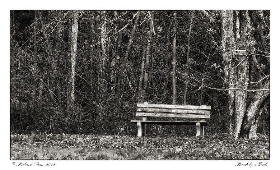 Bench by a Woods Photograph by Richard Bean