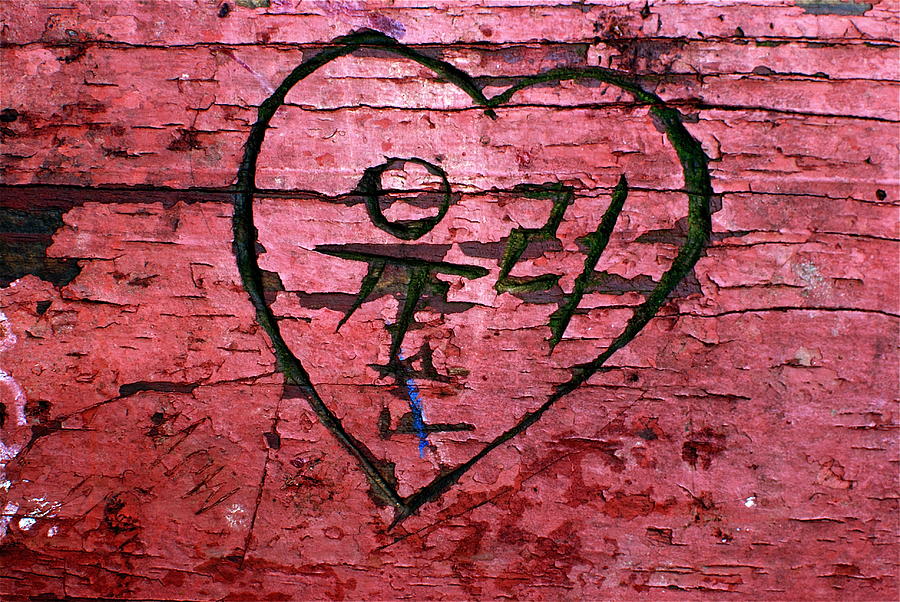 Graffiti Photograph - Bench Carving by The Wholeheart