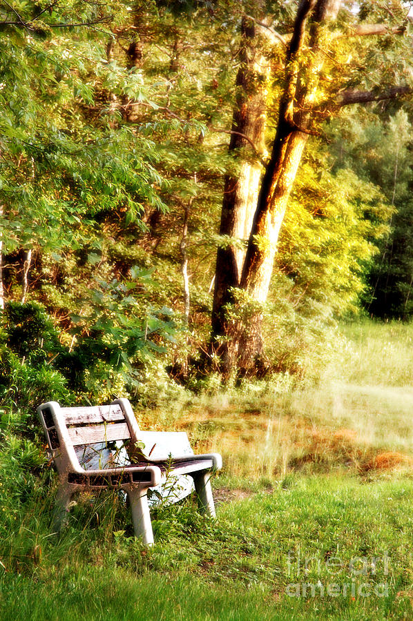Bench Photograph by HD Connelly