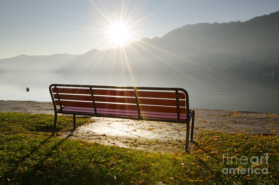 Bench in backlight Photograph by Mats Silvan Fine Art America