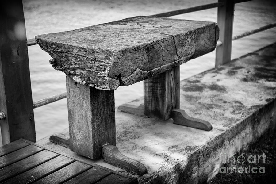 Bench Photograph by Thanh Tran