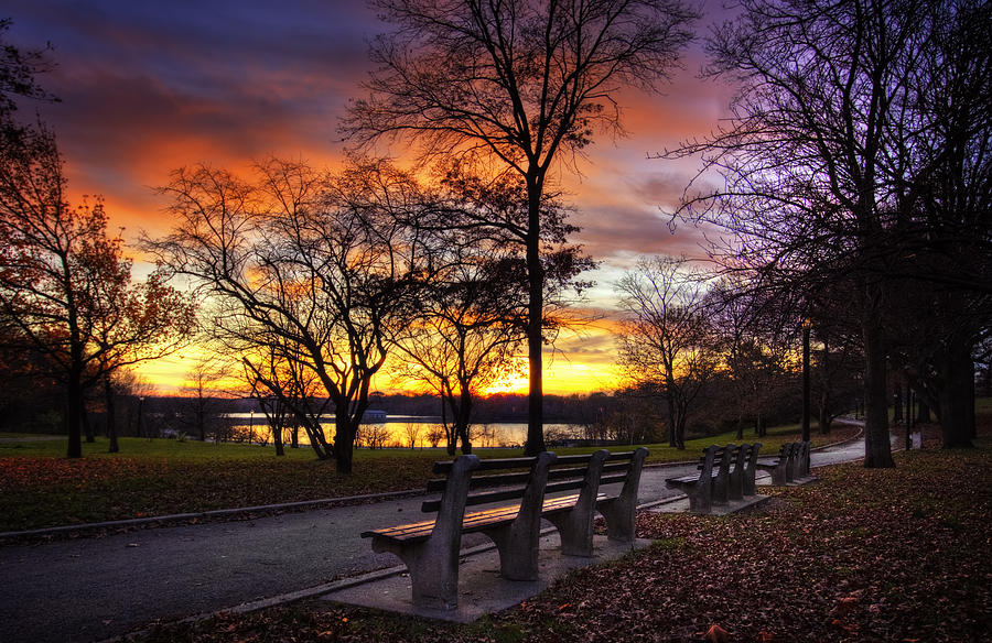 Bench with a view Photograph by Yelena Rozov