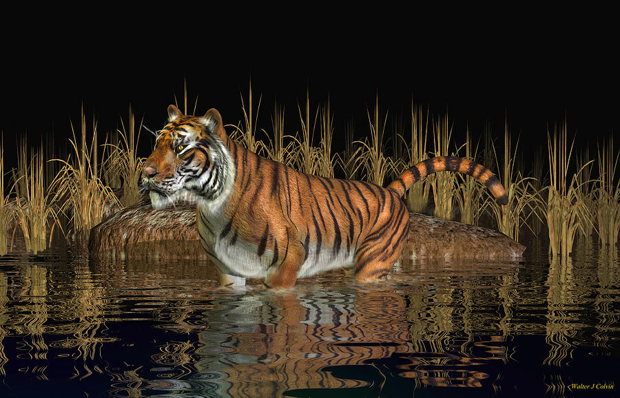 Bengal Tiger Digital Art by Walter Colvin