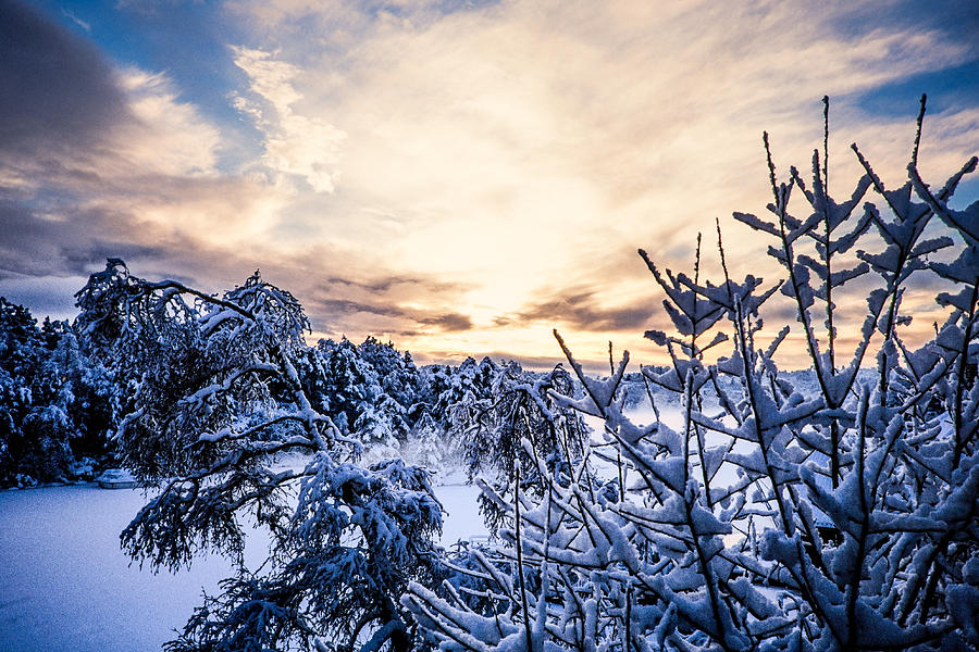 Bergen Winter Photograph by Hakon Soreide