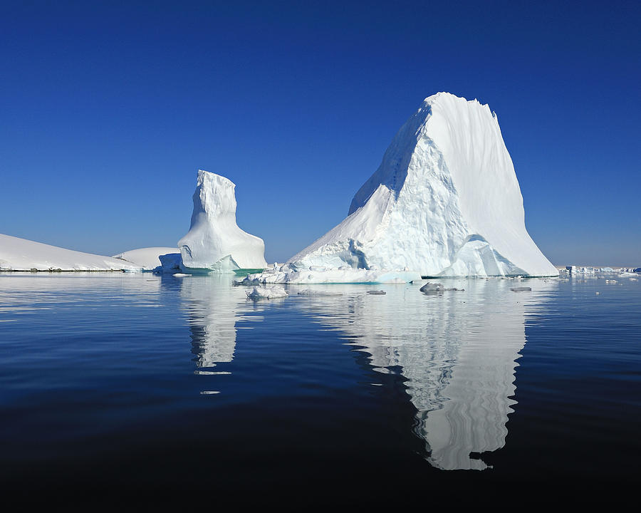 Bergie Bit - Antarctica Photograph by Tony Beck