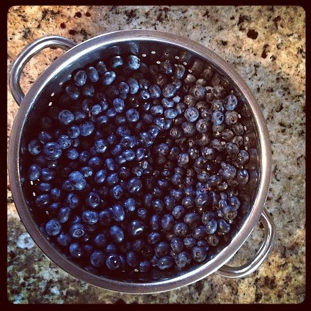 Blueberry Photograph - Berries by Adina St John