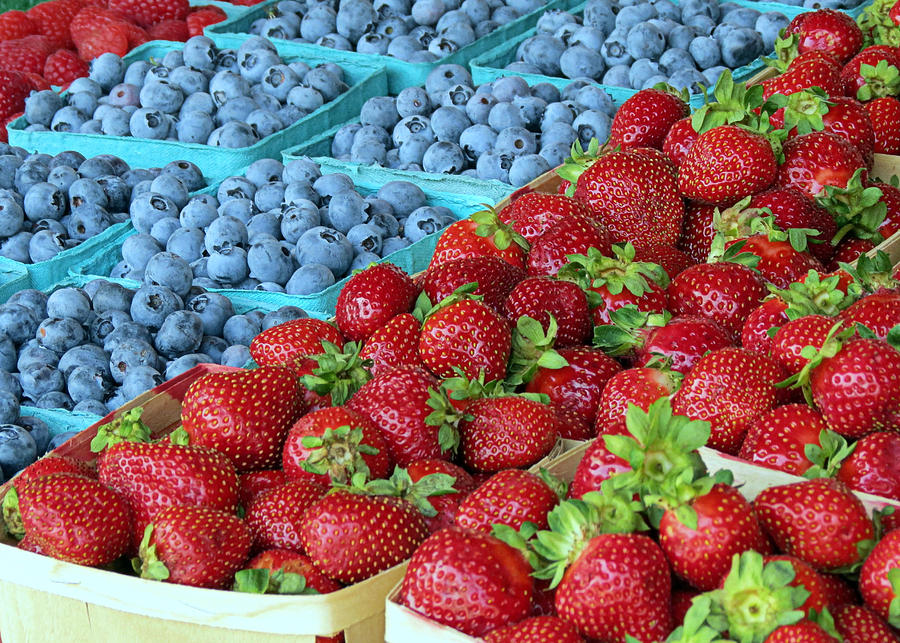 Berries Photograph by Janice Drew