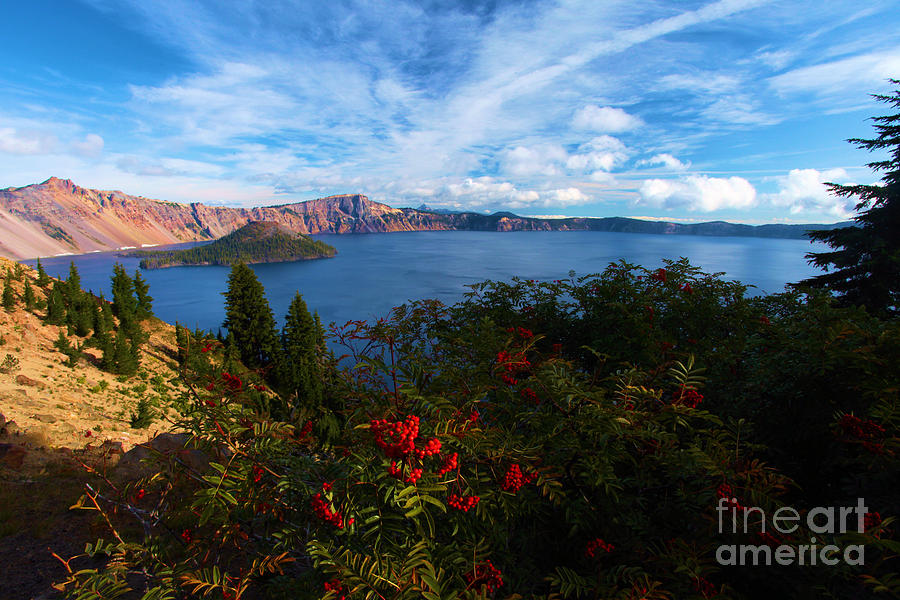 Crater Lake National Park Photograph - Berries On The Crater by Adam Jewell