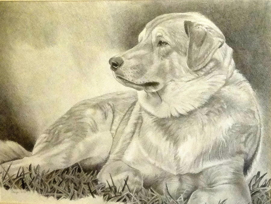 Best Friend Drawing by Melissa Atkinson